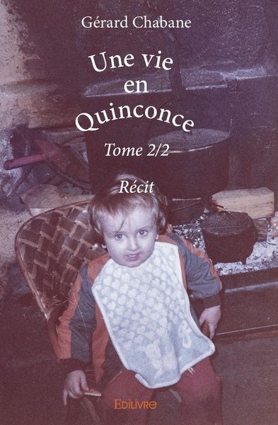 Produktbild: Une vie en quinconce - tome 2