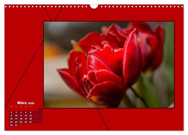 Produktbild: Powerfarbe Rot (Wandkalender 2026 DIN A3 quer), CALVENDO Monatskalender