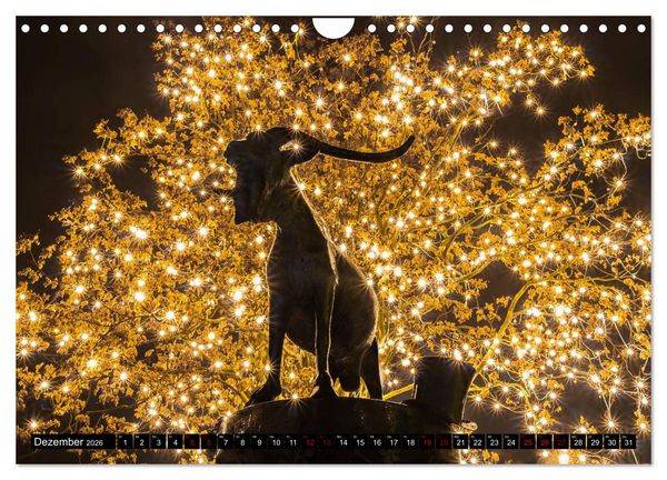 Produktbild: Augenschmaus Pfalz (Wandkalender 2026 DIN A4 quer), CALVENDO Monatskalender