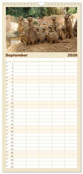 Produktbild: Familienplaner 2026 - Erdm&auml;nnchen: Zusammen sind wir stark mit 5 Spalten (Wandkalender, 21 x 45 cm) CALVENDO
