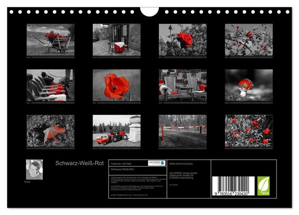 Produktbild: Schwarz-Wei&szlig;-Rot (Wandkalender 2026 DIN A4 quer), CALVENDO Monatskalender