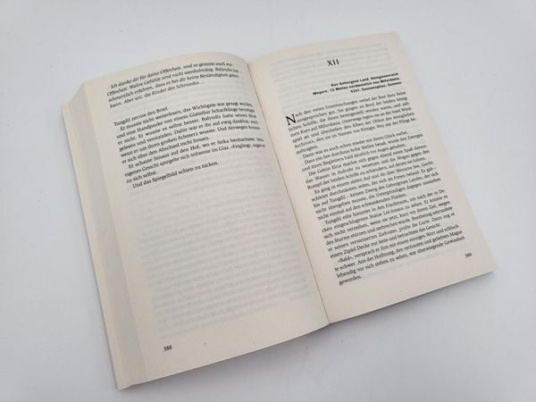 Produktbild: Die Rache der Zwerge