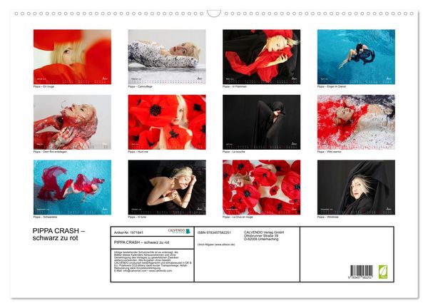 Produktbild: PIPPA CRASH &ndash; schwarz zu rot (Wandkalender 2026 DIN A2 quer), CALVENDO Monatskalender