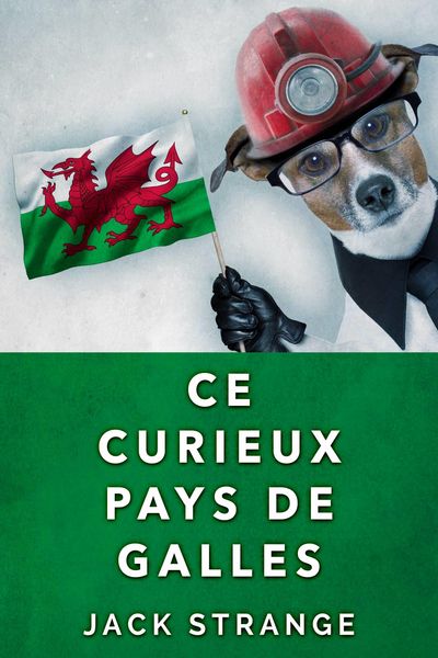 Produktbild: Ce Curieux Pays De Galles