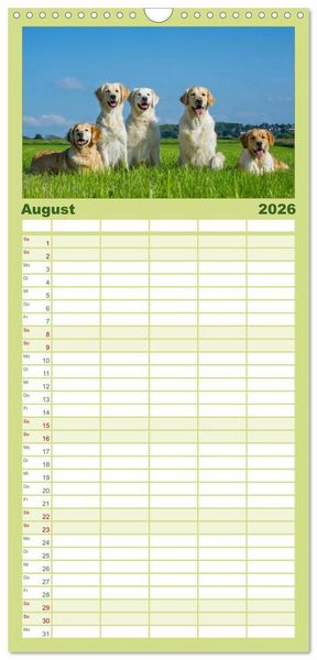 Produktbild: Familienplaner 2026 - Golden Retriever - Ein Herz auf 4 Pfoten mit 5 Spalten (Wandkalender, 21 x 45 cm) CALVENDO