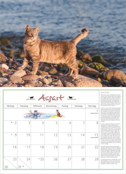 Produktbild: DuMonts Katzen Kalender 2027