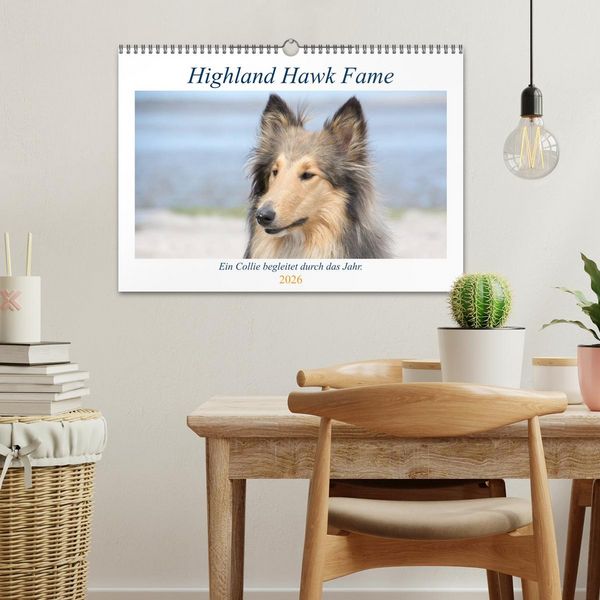 Produktbild: Highland Hawk Fame - Ein Collie begleitet durch das Jahr (Wandkalender 2026 DIN A3 quer), CALVENDO Monatskalender