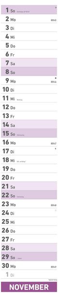 Superplaner 2026 - Streifenkalender 17x85 cm - mit Ringbindung - viel Platz für Notizen - Langplaner - Wandkalender - Küchenkalender - Alpha Edition
