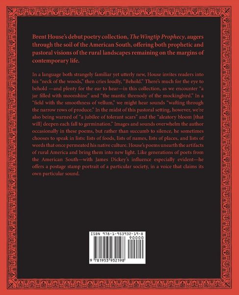 Produktbild: The Wingtip Prophecy