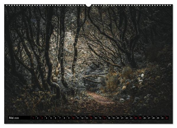 Produktbild: Madeira - Eine Perle des Atlantiks (hochwertiger Premium Wandkalender 2026 DIN A2 quer), Kunstdruck in Hochglanz