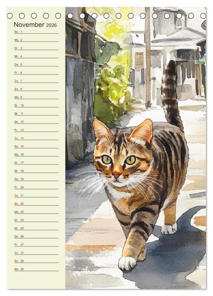 Produktbild: Bezaubernde Katzen. Miezen im lieblichen Aquarell-Stil (Tischkalender 2026 DIN A5 hoch), CALVENDO Monatskalender