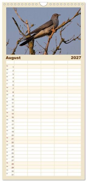 Produktbild: Familienplaner 2027 - V&ouml;gel ganz nah mit 5 Spalten (Wandkalender, 21 x 45 cm) CALVENDO