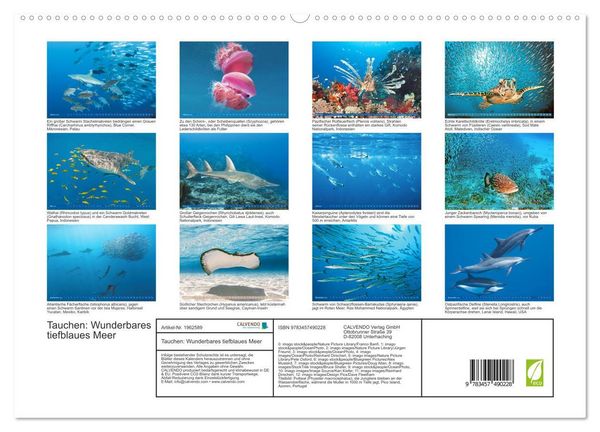 Produktbild: Tauchen: Wunderbares tiefblaues Meer (hochwertiger Premium Wandkalender 2026 DIN A2 quer), Kunstdruck in Hochglanz