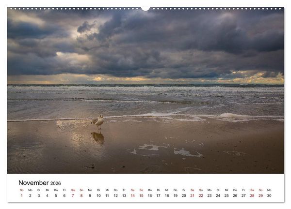 Produktbild: Langeoog &ndash; Ein Herbst auf der Insel des Lebens (Wandkalender 2026 DIN A2 quer), CALVENDO Monatskalender