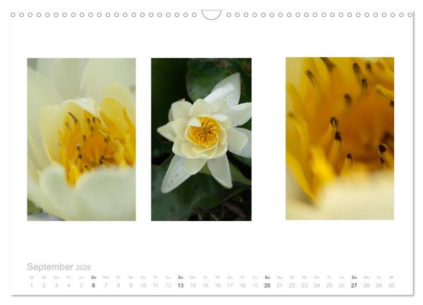 Produktbild: Blumen Trilogien (Wandkalender 2026 DIN A3 quer), CALVENDO Monatskalender