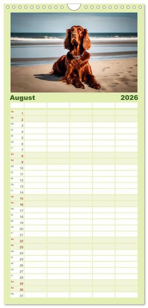 Produktbild: Familienplaner 2026 - Irish Setter - Anmut pur mit 5 Spalten (Wandkalender, 21 x 45 cm) CALVENDO
