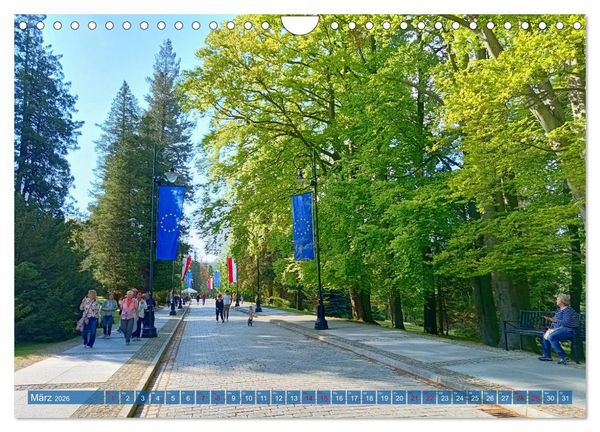 Produktbild: Bad Flinsberg und Umgebung (Wandkalender 2026 DIN A4 quer), CALVENDO Monatskalender