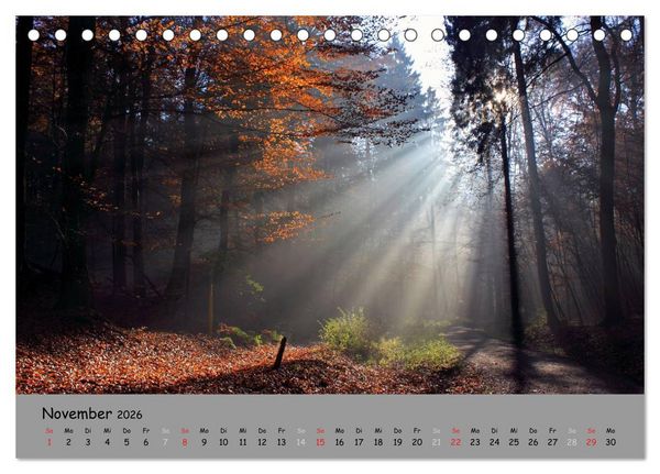 Produktbild: L&uuml;neburger Heide - sch&ouml;n zu jeder Jahreszeit (Tischkalender 2026 DIN A5 quer), CALVENDO Monatskalender