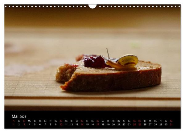 Produktbild: Kleine B&auml;nderschnecke ganz gro&szlig; - Gem&uuml;tlich durch das neue Jahr (Wandkalender 2026 DIN A3 quer), CALVENDO Monatskalender