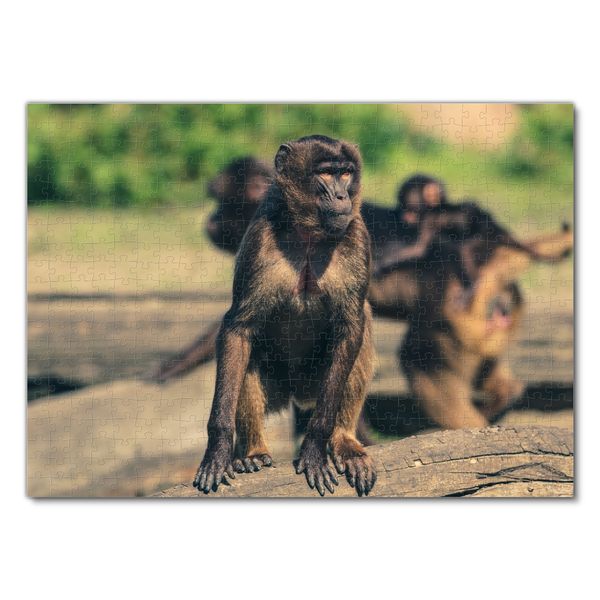 Produktbild: Lais Puzzle Affe 500 Teile