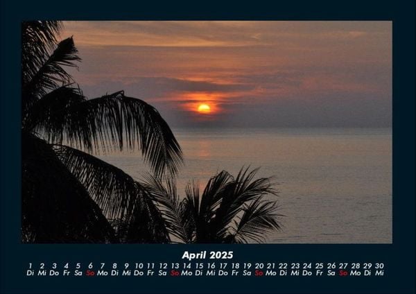 Produktbild: Palmentraum 2025 Fotokalender DIN A4