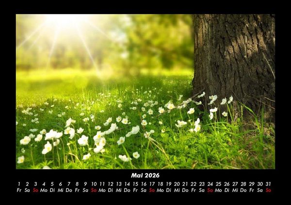 Produktbild: Blumenzauber 2026 Fotokalender DIN A3