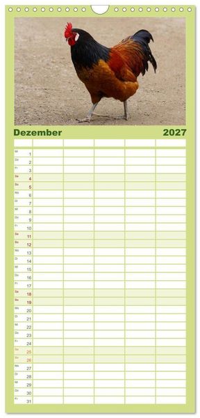 Produktbild: Familienplaner 2027 - Die Welt der H&uuml;hner mit 5 Spalten (Wandkalender, 21 x 45 cm) CALVENDO