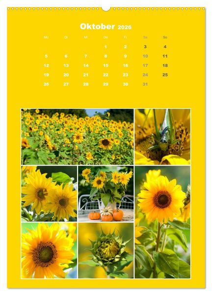 Produktbild: Der kunterbunte Collagen Kalender (hochwertiger Premium Wandkalender 2026 DIN A2 hoch), Kunstdruck in Hochglanz