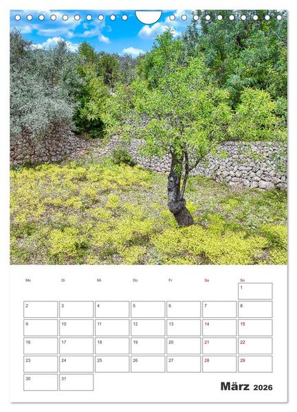 Produktbild: Mallorca - Traumhafte Insel auf der Sonnenseite (Wandkalender 2026 DIN A4 hoch), CALVENDO Monatskalender