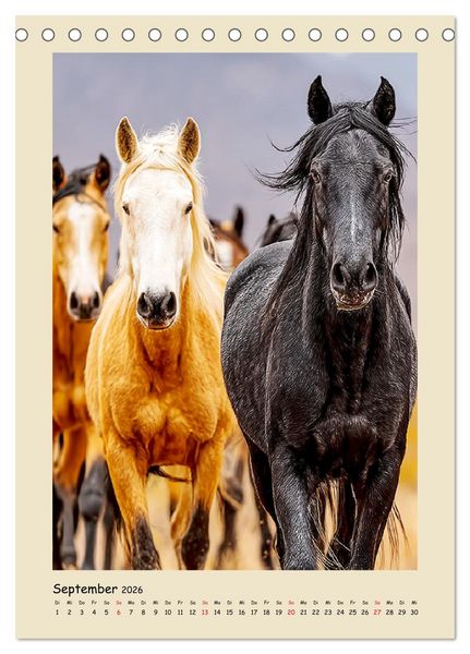 Produktbild: Amerikanische Mustangs. Symbole f&uuml;r Freiheit und Pioniergeis (Tischkalender 2026 DIN A5 hoch), CALVENDO Monatskalender