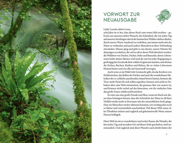 Produktbild: Kraftort Natur
