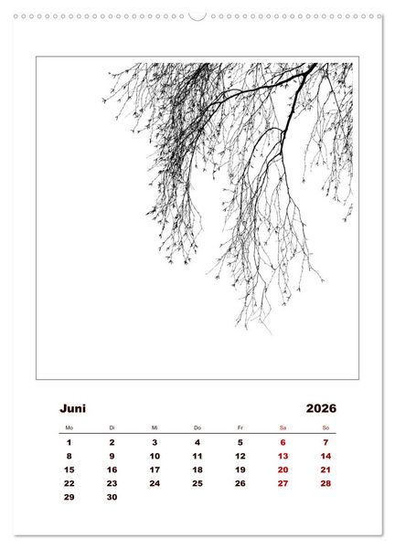 Produktbild: LignoGrafica - Muster und Strukturen der B&auml;ume (Wandkalender 2026 DIN A2 hoch), CALVENDO Monatskalender