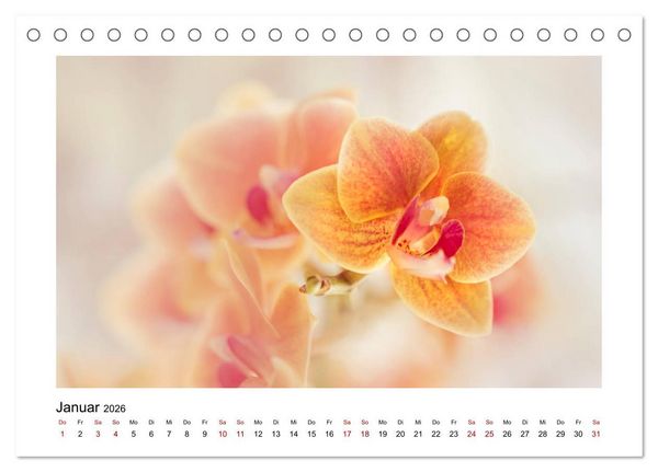 Produktbild: Oranger Bl&uuml;tentraum (Tischkalender 2026 DIN A5 quer), CALVENDO Monatskalender