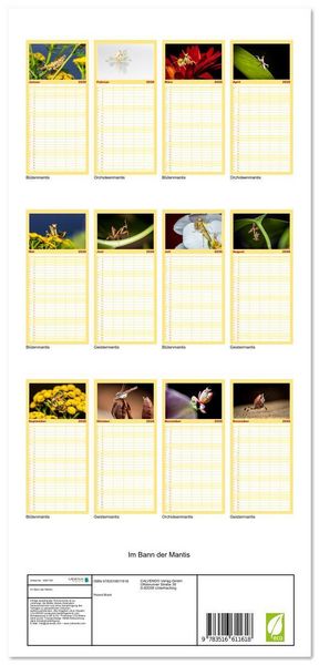 Produktbild: Familienplaner 2026 - Im Bann der Mantis mit 5 Spalten (Wandkalender, 21 x 45 cm) CALVENDO