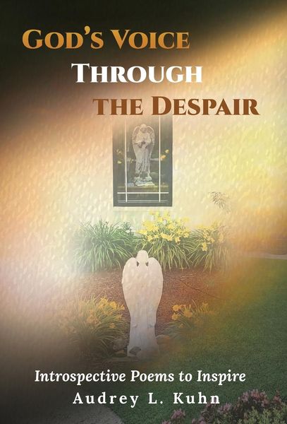 Produktbild: God's Voice Through the Despair