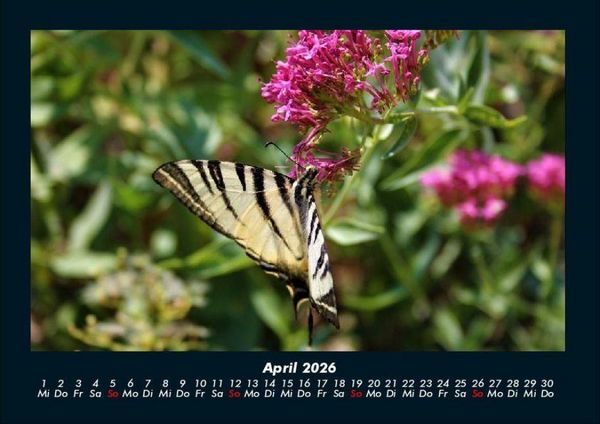 Produktbild: Blumenkalender 2026 Fotokalender DIN A4