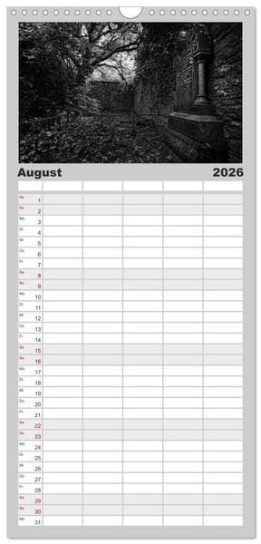 Produktbild: Familienplaner 2026 - Gothic Fantasy mit 5 Spalten (Wandkalender, 21 x 45 cm) CALVENDO