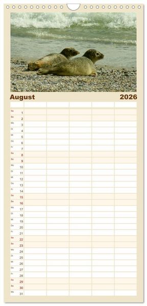 Produktbild: Familienplaner 2026 - An der Nordsee mit 5 Spalten (Wandkalender, 21 x 45 cm) CALVENDO