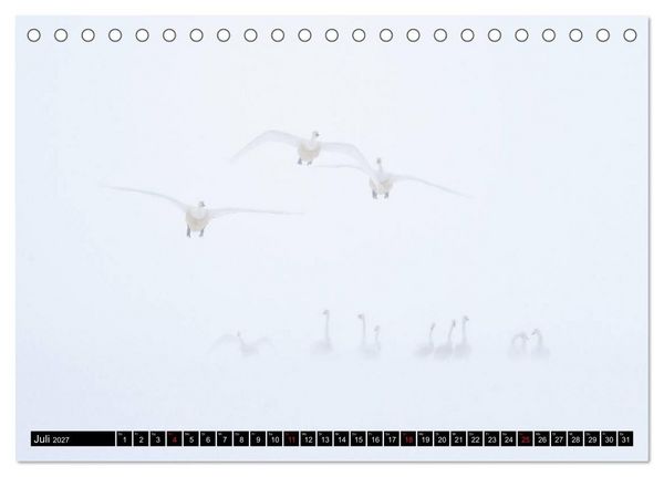 Produktbild: Japanische Vogelwelt im Winter (Tischkalender 2027 DIN A5 quer), CALVENDO Monatskalender
