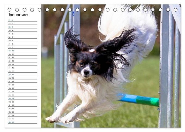 Produktbild: Agility - Sport und Spass (Tischkalender 2027 DIN A5 quer), CALVENDO Monatskalender