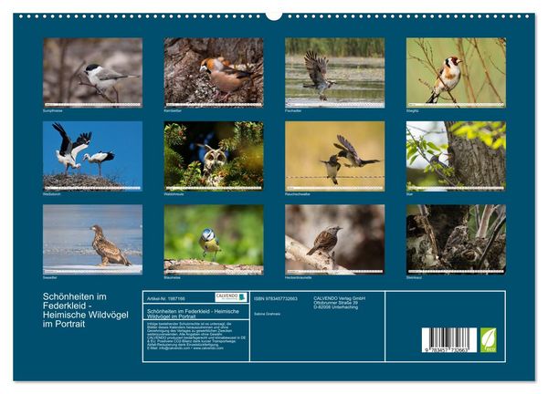 Produktbild: Sch&ouml;nheiten im Federkleid - Heimische Wildv&ouml;gel im Portrait (hochwertiger Premium Wandkalender 2026 DIN A2 quer), Kunstdruck in Hochglanz