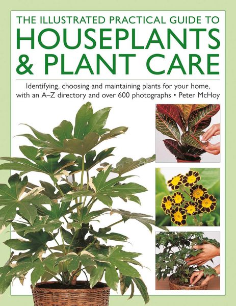 Produktbild: The Illustrated Practical Guide to Houseplants & Plant Care