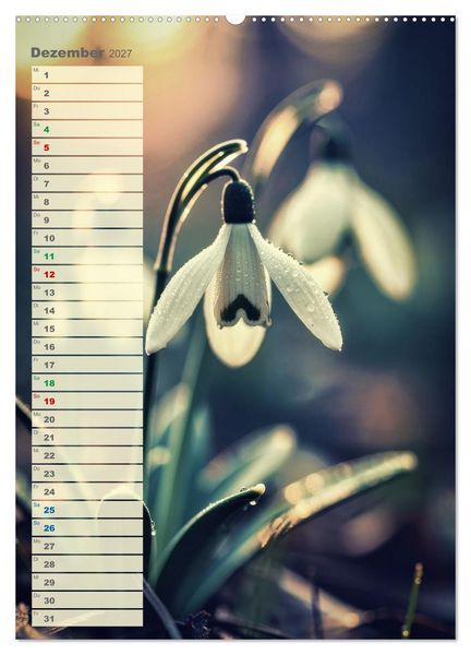 Produktbild: D&uuml;nen und Buhnen (hochwertiger Premium Wandkalender 2027 DIN A2 hoch), Kunstdruck in Hochglanz