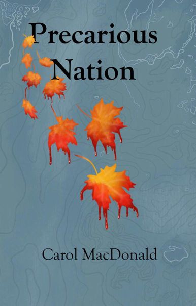 Produktbild: Precarious Nation