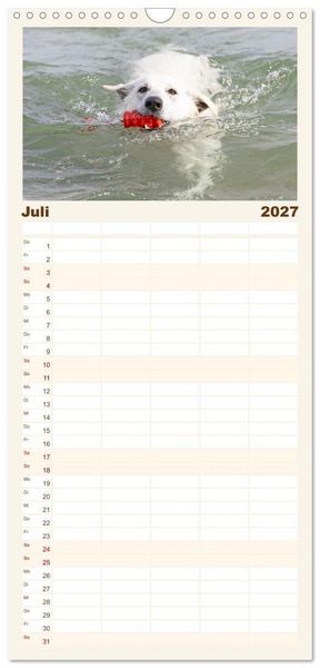 Produktbild: Familienplaner 2027 - Berger Blanc Suisse - Weggef&auml;hrten auf 4 Pfoten mit 5 Spalten (Wandkalender, 21 x 45 cm) CALVENDO