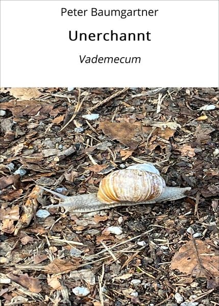 Produktbild: Unerchannt