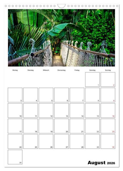 Produktbild: Brasilien. Wo die Sonne wohnt (Wandkalender 2026 DIN A3 hoch), CALVENDO Monatskalender