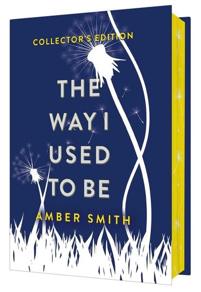 Produktbild: The Way I Used to Be (Collector's Edition)