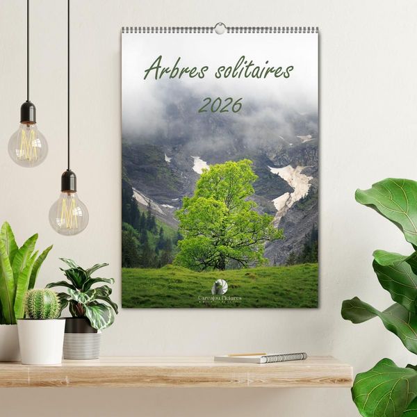Produktbild: Arbres solitaires (Calendrier mural 2027 DIN A2 horizontal), CALVENDO calendrier mensuel