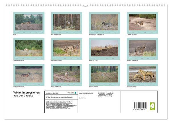 Produktbild: W&ouml;lfe, Impressionen aus der Lausitz (hochwertiger Premium Wandkalender 2026 DIN A2 quer), Kunstdruck in Hochglanz